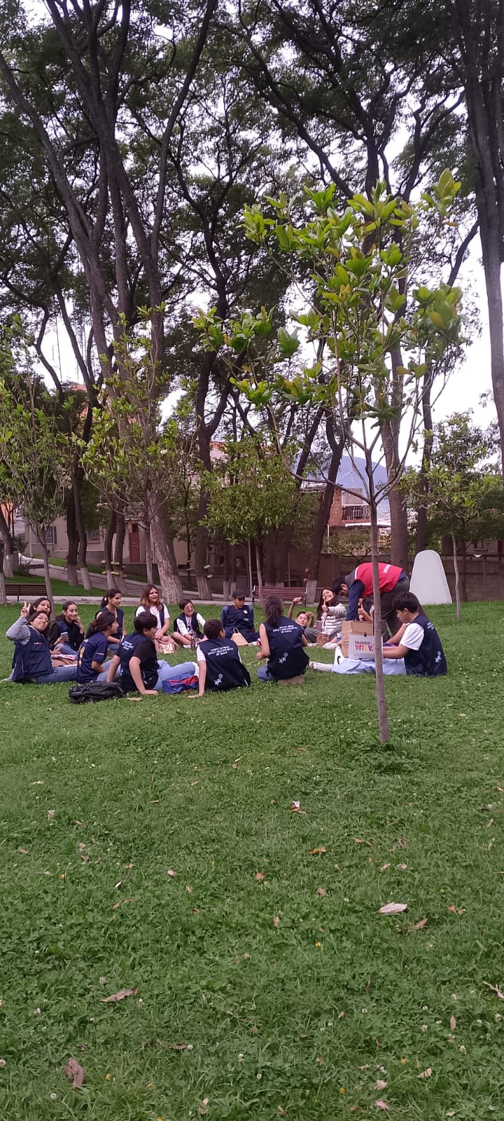 COMITE MUNICIPAL DE NIÑO NIÑA Y ADOLESCENTES